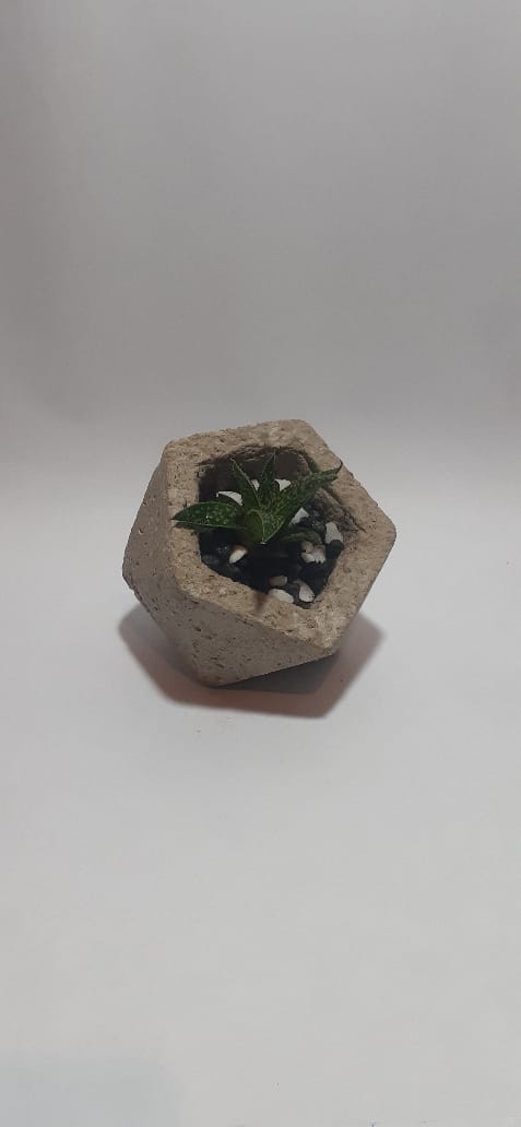 Product 1