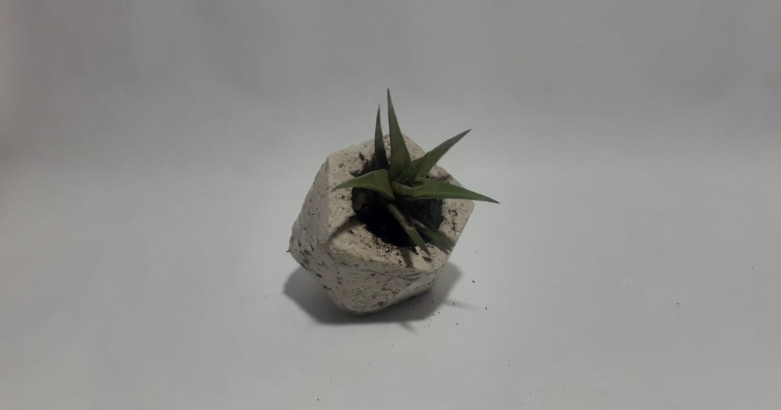Product 1