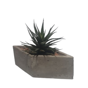 Planter Diamond