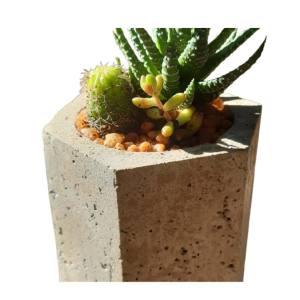 Papercrete planter with succulents