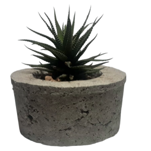 papercrete planter medium